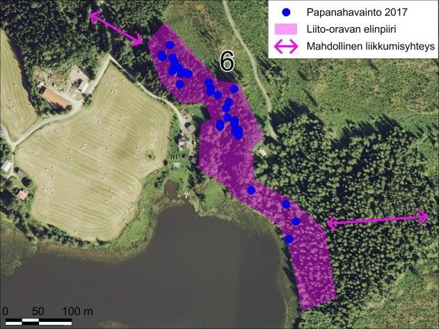 Räimäjärven Jokilahden ja Tamppijoen metsä (3,0 ha) Räimäjärven Jokilahteen idästä laskeva Tamppijoen puronvarsimetsä on hyvää liitooravametsää, ja papanoita löytyi runsaasti sekä järeiden