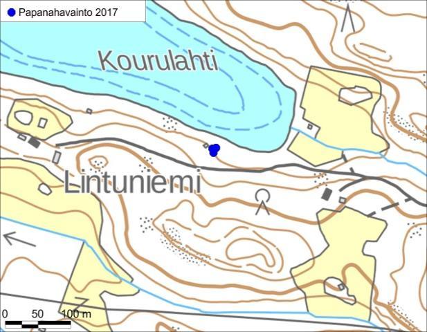 Rinnesekametsä mökkitontin länsipuolella voisi soveltua liito-oravalle, mutta