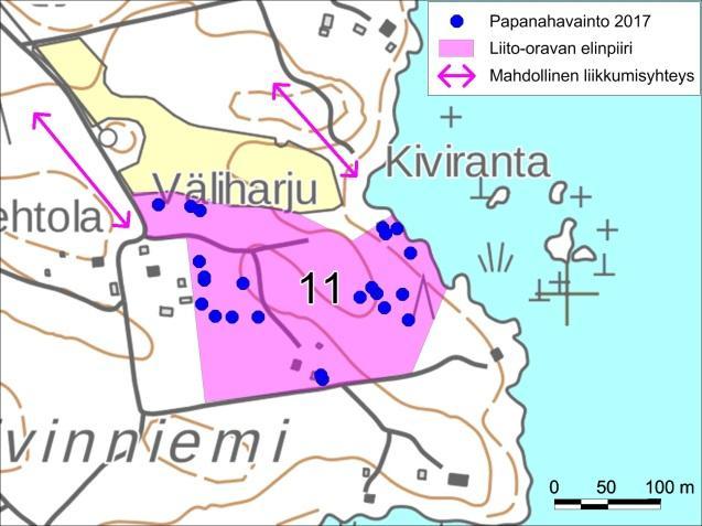 Muut tarkistetut kohteet Räimänlahden länsipuolelta tarkistettiin rantapuusto Pekolanlahden kohdalta ja siitä pohjoiseen ja etelään (kuva 1). Alueelta ei löytynyt keväällä 2017 papanoita.