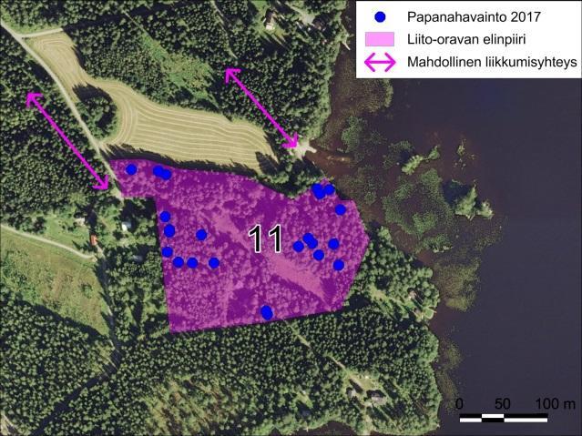 3 Kallaveden pohjoisranta 11.