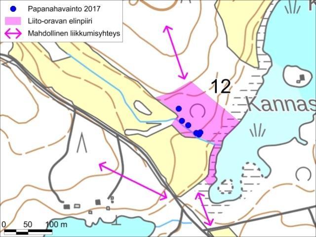 12 Kuvat 42 ja 43. Liito-oravan elinpiirin rajaus Kannaslahdessa.