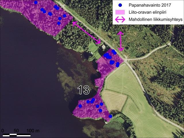 47). Kuvat 44 ja 45. Liito-oravan eteläisen elinpiirin rajaus Puiroolahdessa.