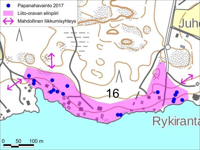 Pääosa puista oli järeitä kuusia, mutta joukossa oli myös rannan tervaleppiä ja