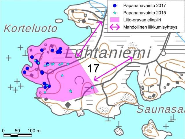 Rykirannan rannan tervaleppiä ja pihapuustoa lomarakennuksen ympärillä. 17.