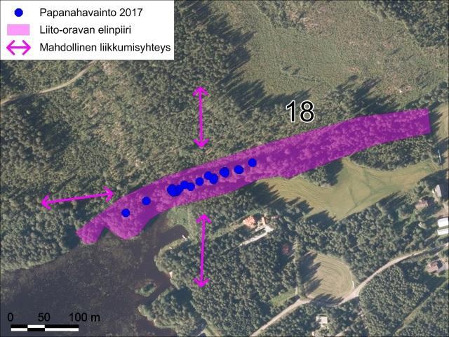 Alueelta on rantapuuston tai suonreunan kautta yhteys pohjoiseen Oinasjoelle ja metsäinen yhteys itään Rykirannan suuntaan.