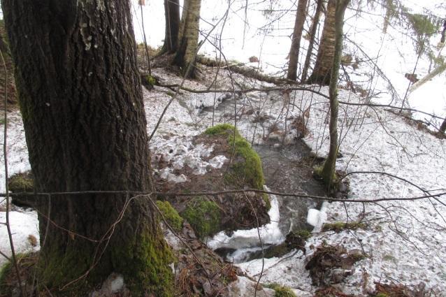 Metsä rajoittuu omakotitalojen pihapiireihin ja länsipuolella lammaslaitumeen. Rinnettä ala virtaa noro.