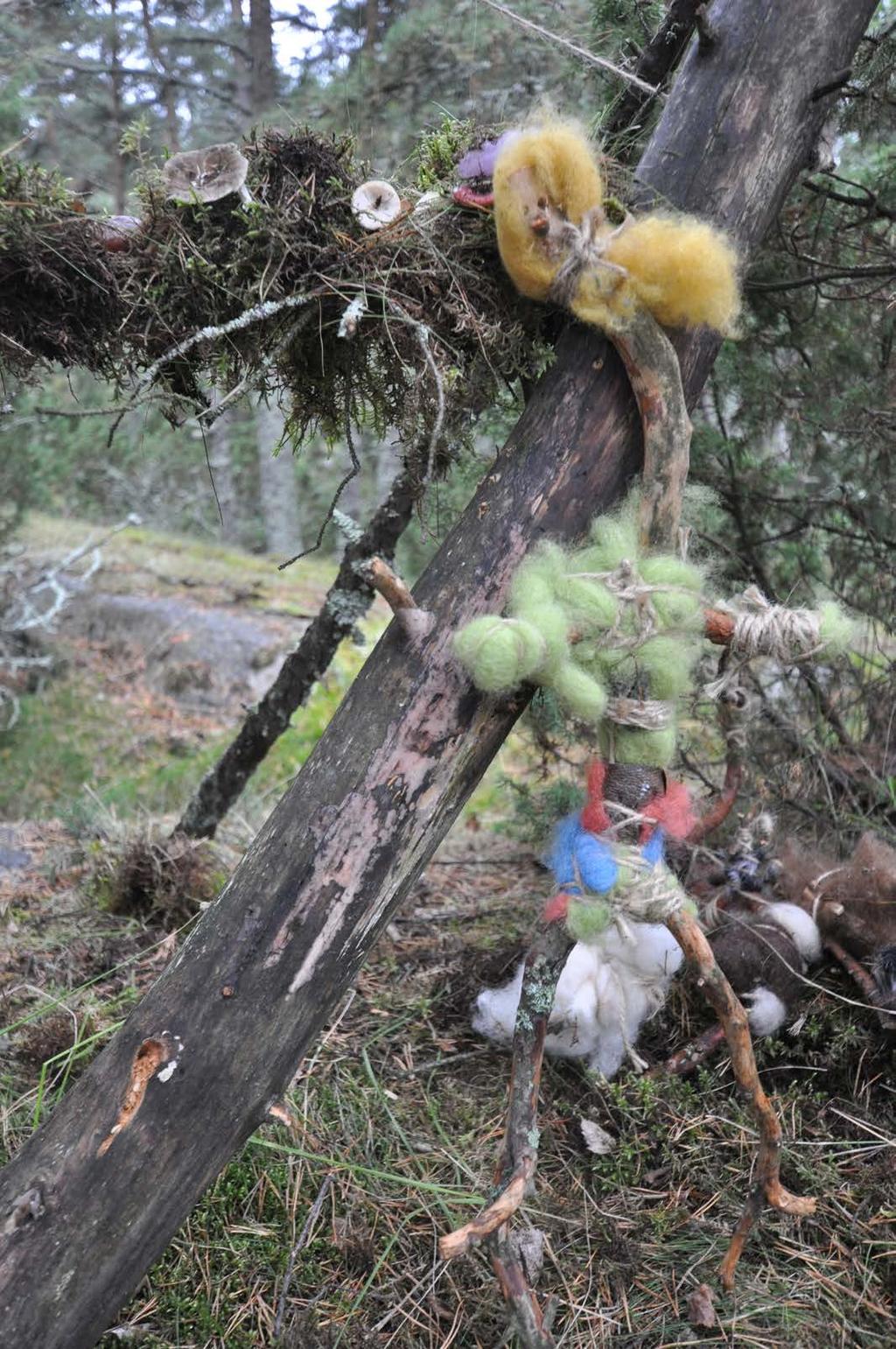 MAAHISTEN POLUILLA, METSÄN- HENKIEN MAJOISSA Elokuussa Kallon metsä tuoksuu jo aavistuksen syksylle: kostealle sammaleelle, pudonneille koivunlehdille ja pyöreälakkisille sienille.