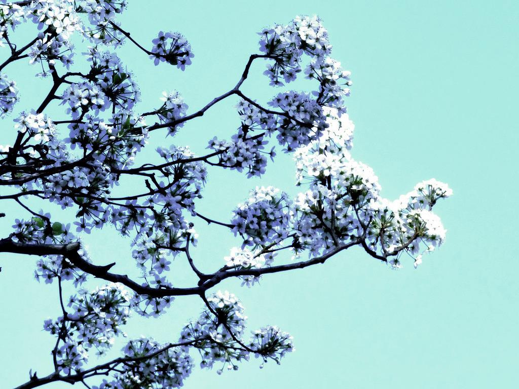 Kuva: Flickr