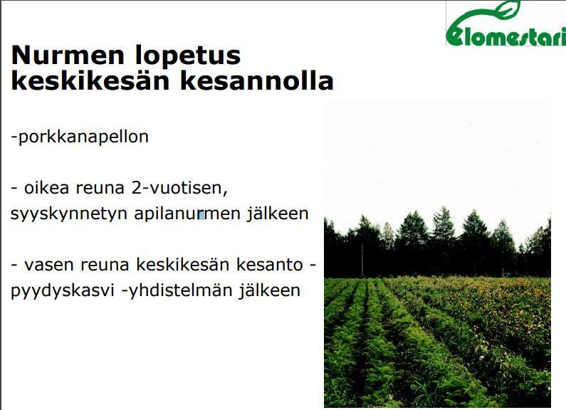 Kokemuksia luomuvalvonnoista: