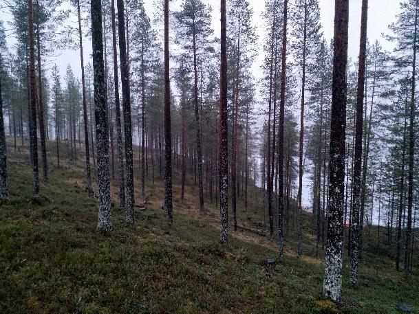 Muut yhteisöt - kaava-alueen ja lähialueen asukkaat ja loma-asukkaat -