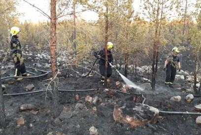 metsien käytön rajoittamista ja metsien taloudellista