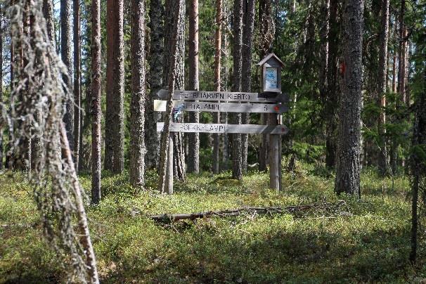 1km päässä komeita kankaita pitkin on lyhyt terävä nousu harjun päälle, jossa kohdataan Mujejärven retkeilyalueen polut ja viitat,