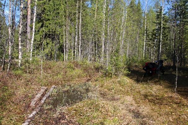 Kukonlammen kierto jatkuu viitan mukaan WC:n ohi ja alamäkeen, kulkee vähän matkaa matalilla