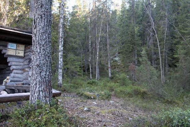 Reitti jatkuu hiekkatietä 650m ilman merkintöjä, nousee Nurmes