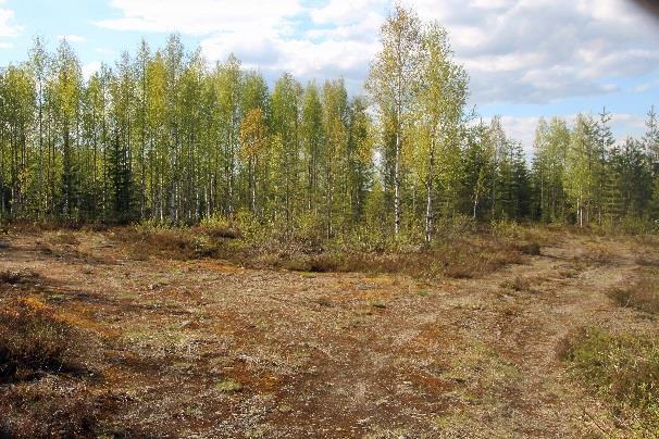 Tie ylittää Näätäsvaaran laen, laskee alas kääntöpaikalle ja