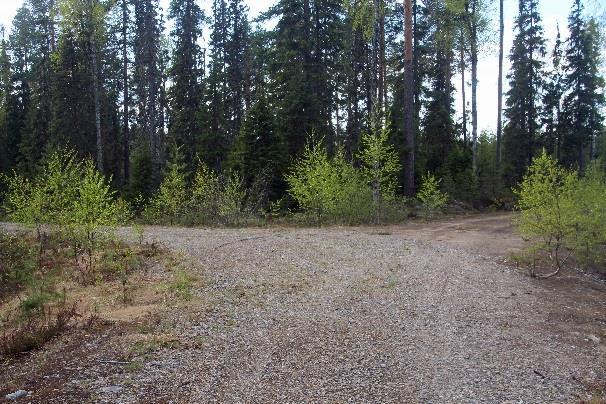1,2km jälkeen se tulee pienelle metsäautotielle Karjalan Kierros -viitan kohdalla.