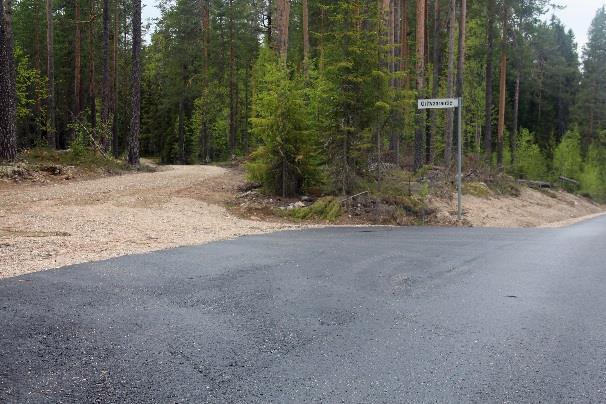 muutamassa puussa on hennot vyöt.