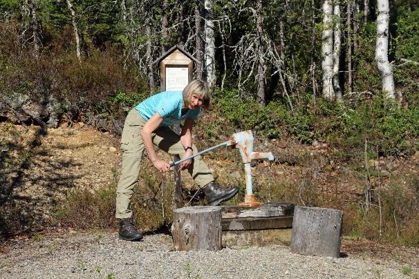 Peurakankaan parkkipaikalle, jossa on tulipaikka,