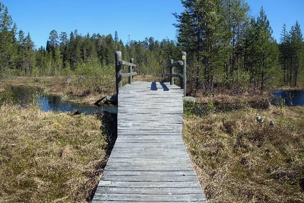 Laavu, nuotiokehä, puuvaja ja WC. Komea iltanäkymä lammelle, mutta paikka saattaa olla hyttysille ottavainen.