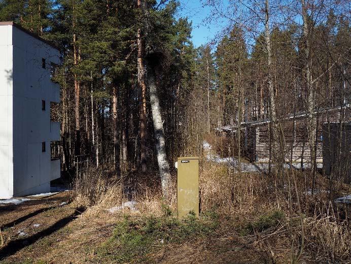 Näkymä tontin takaosaan Kärpänkujalta (oik.).