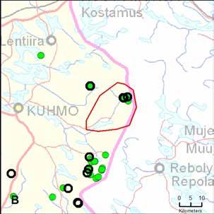 47. Kivikiekin rajareviiri (Kainuu) Yksilömääräarvio: 4 15.8. 31.12.