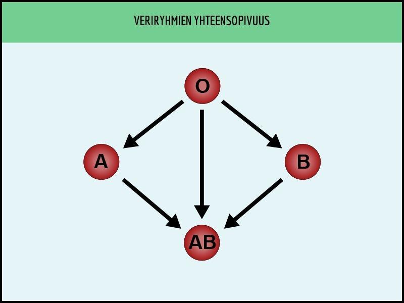 häneltä itseltä puuttuvat Kutsutaan isoagglutiniineiksi Muodostuvat varhaislapsuudessa luonnostaan Epäsopivan