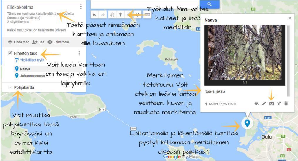 7. Merkitse muutkin havaintosi kartalle merkitsimen avulla. Muista aina lisätä itse ottamasi kuva kohteesta. Voit myös muokata merkitsimen väriä painamalla style tai tyyli - painiketta.