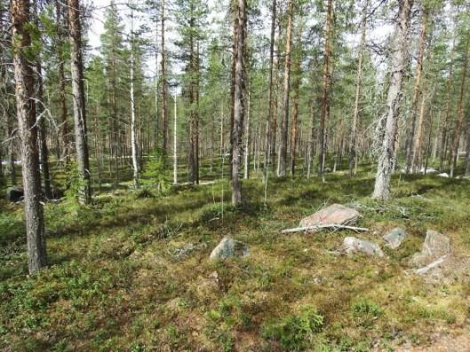 Kuvan kohdalla maata on siirretty ja maastoa tasoitettu.