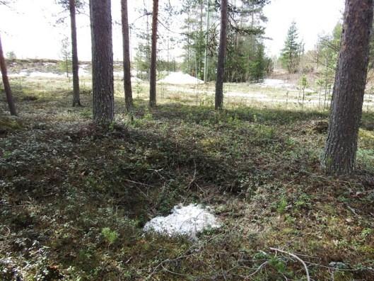 31 Valokuvat Kuoppajäännös kuvattuna koillisesta. Taustalla näkyy pururata ja vasemmassa yläkulmassa Ritavaaran laelle johtavaa tietä sekä hiihtostadionin maavalleja. 7.