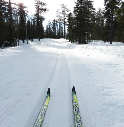 Kesän rasteja odotellessa Tätä kirjoittaessani Vipan tämän kauden ensimmäiset iltarastit Vihtavuoressa ovat juuri alkamassa.