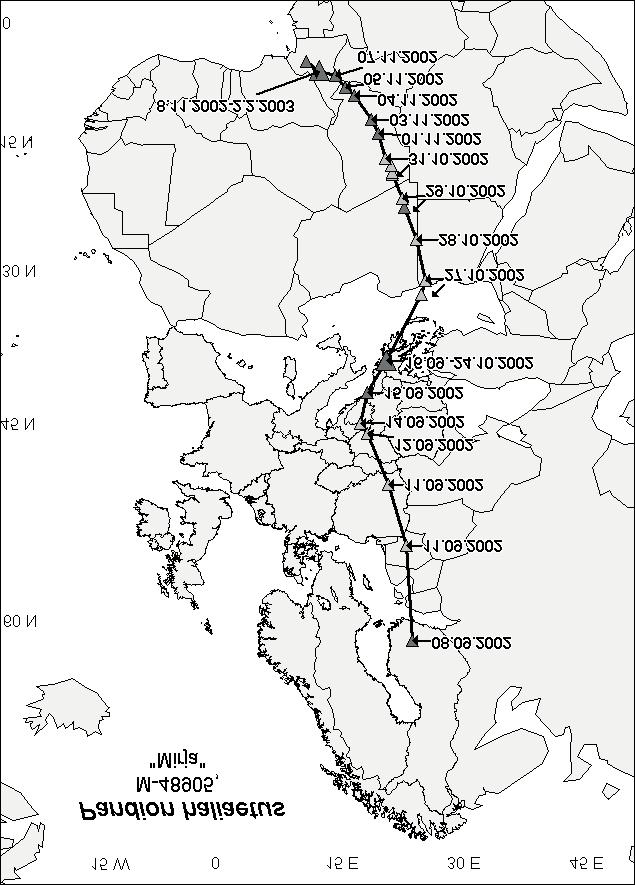 Syysmuutto 2004 Kuva 6. Satelliittiseurannan antama kuva nuoren sääksinaaras "Mirjan" syysmuuton 2002 reitistä ja aikataulusta. Musta symboli = paikannuksen tarkkuus <1km(Argos.