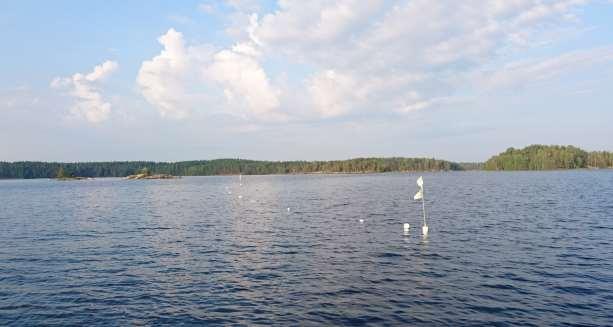 LÄNTISEN PIEN-SAIMAAN KALASTON SELVITYS VUONNA 18 Karels Oy