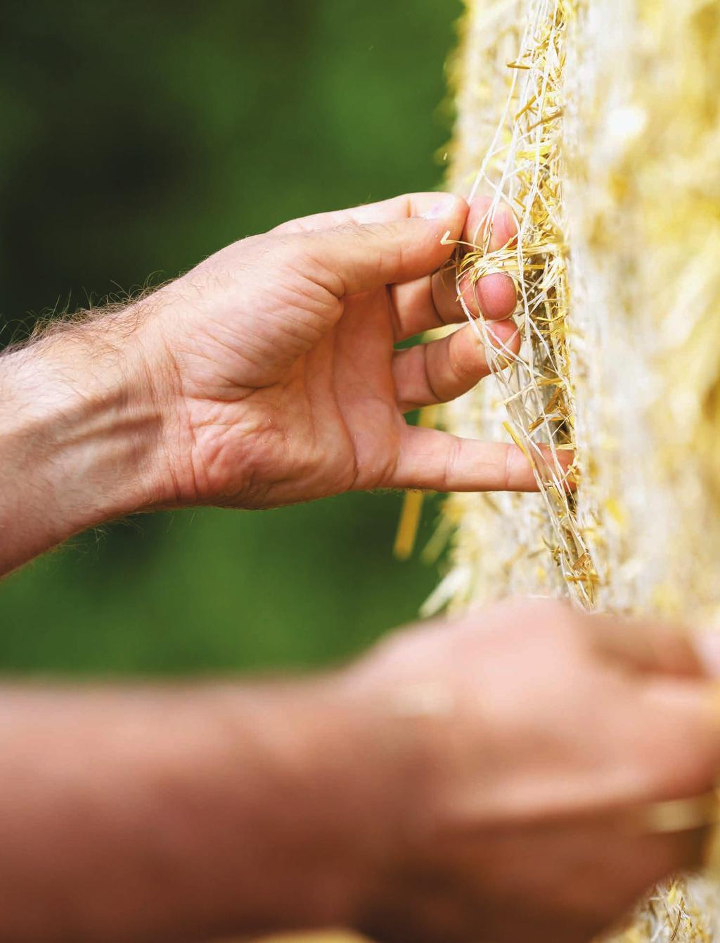 4 Piippo lyhyesti 6 Piippo 2018 - Focus on feed 10 Brändin ydin ja pyrkimys 12 Strategia - keskittyminen agriliiketoimintaan 16 Toimitusjohtajan katsaus 17 Katsaus