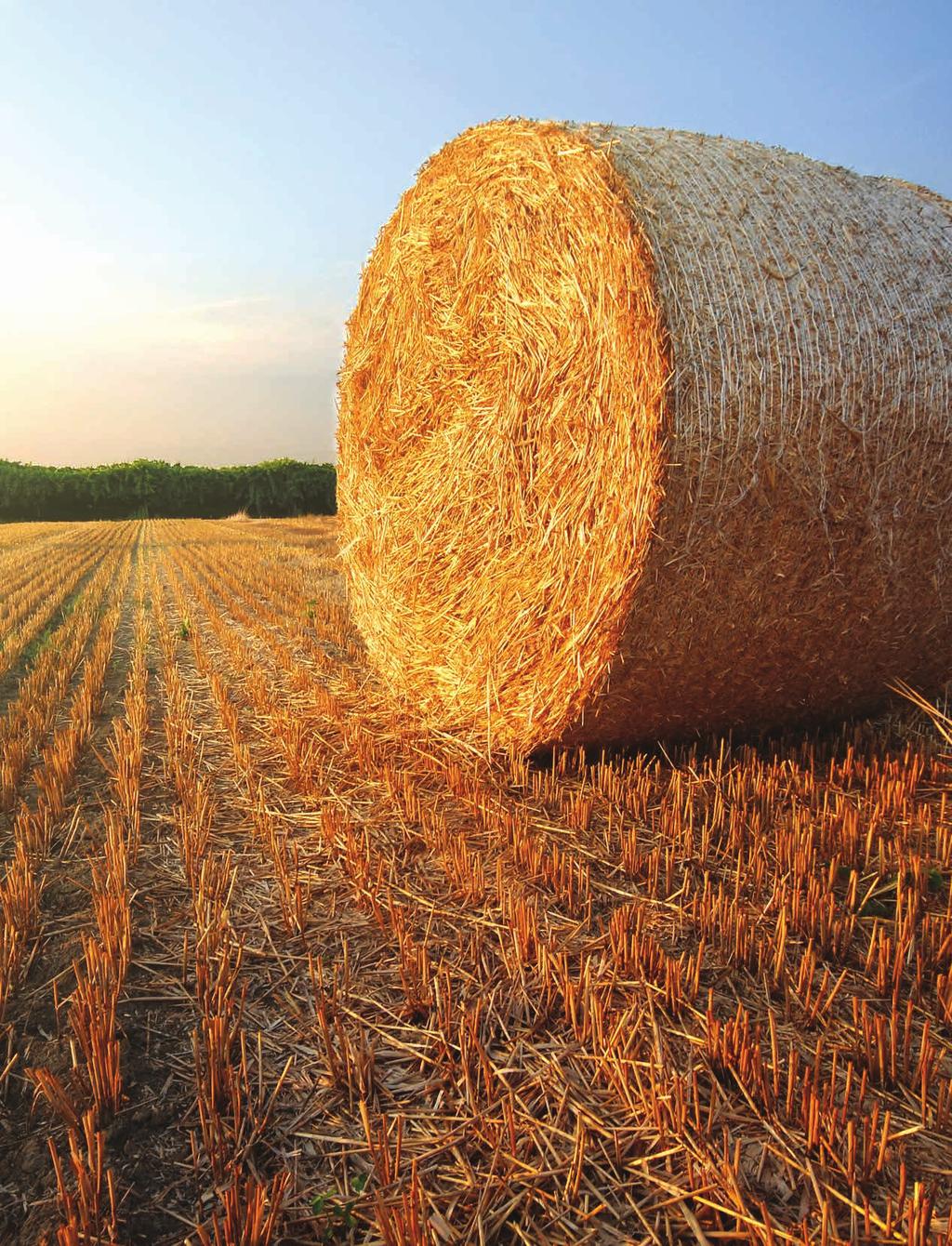 Strategia keskittyminen agriliiketoimintaan Strategia Kannattavaa kasvua Paalausverkkotuotannon kapasiteetin lisääminen ja jakelun laajentaminen Paalauslangan kilpailukyvyn nostaminen ja jakelun