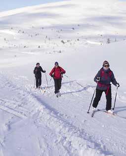 Raattaman hiihtomatkat uudelleen osaksi yhdistyksen toimintaa Jyväskylän Ladun matka Lappiin viikolla 12/2019 onnistui mukavasti. Matkaan lähti hiukan yli 30 perinteisen talviliikunnan ystävää.