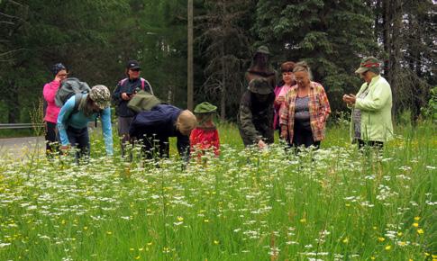2 yhteen suuntaan (myös väliasemilta), edestakaisin 4. Lapset alle 6 v. maksavan aikuisen mukana ilmaiseksi (enintään 4 lasta). PoRha ry:n jäsenet 5 edestakaisin. Lisätietoja: aikataulu www.porha.