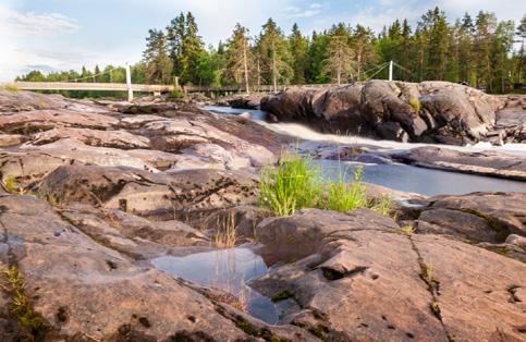 00 Lähtö: Koitelinkoskien P-alue, Koitelinkoskentie 456 Lämpimästi tervetuloa mukavalle kävelylle Koiteliin.