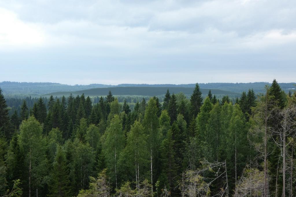 arkis KUOPION KAUPUNKI HEINJOEN