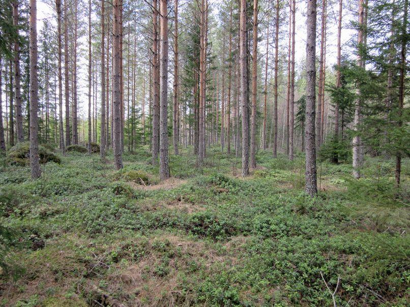 9 7. Suunnitellun voimalapaikan vaikutusaluetta alueen