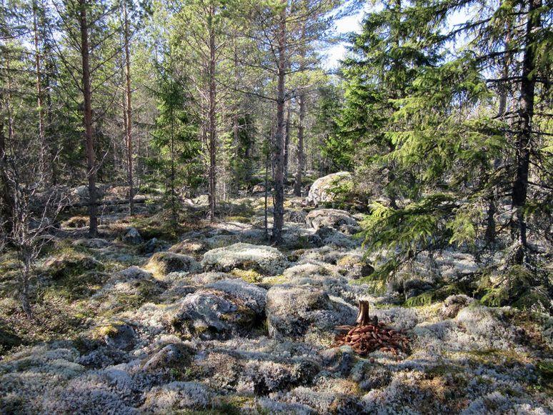 7 1. Lövholmsbackenin lakialueilla maaperä on