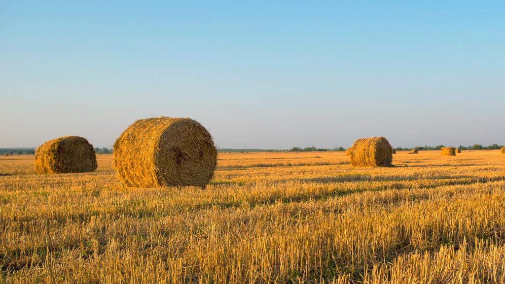 Keskittyminen Agriliiketoimintaan Piippo Oyj keskittyy