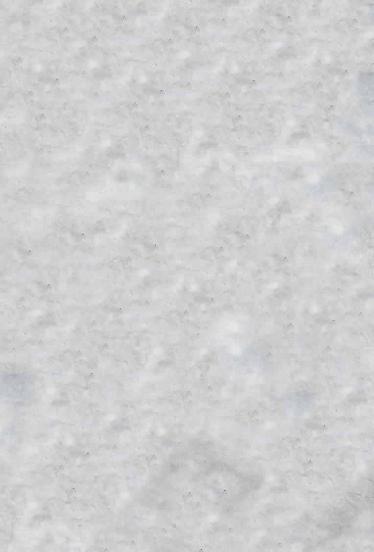 Monta tapaa tilata julkaisuja Julkaisut ovat saatavana painettuina ja pdf-tiedostoina. Ne voi tilata yksittäin tai kestotilauksena SFS:n asiakaspalvelusta sähköpostitse sales@sfs.fi ja puh.