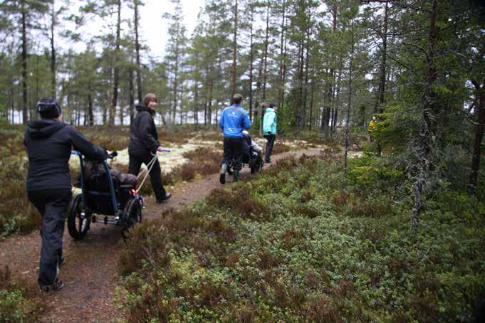 MALIKE Lähes kaikki vastaajat (n=74) arvioivat, että he olivat saaneet Malikkeen koulutuksessa käytännön kokemuksia vaikeasti vammaisten aikuisten / lasten osallistumisen mahdollistamisesta