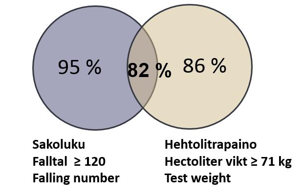 Kuva 2. Ruisnäytteistä 86 prosentilla oli hehtolitrapaino vähintään 71 kiloa, 95 prosentilla sakoluku vähintään 120 ja nämä molemmat laatutavoitteet täyttyivät 82 prosentilla näytteistä vuonna 2018.