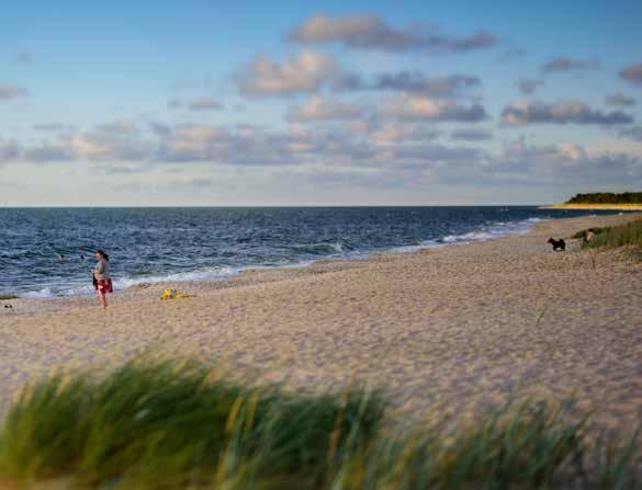 Luoteis-Viron rannikon upeat rannat Pohjois-Läänemaalla, Nõvan ja Noarootsin alueella on kilometrien pituisia hiekkarantoja, jossa voi rauhassa nauttia kesästä.