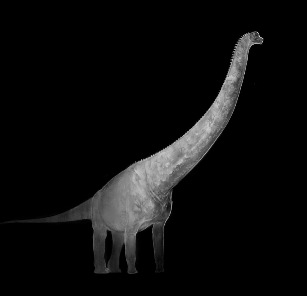 suuriksi. Tehtävän avulla on hyvä orientoitua Jättimäiset dinosaurukset -näyttelyn keskeiseen teemaan joko ennen Heureka-käyntiä, näyttelykäynnin aikana tai sen jälkeen.