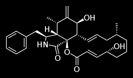 Kemiluminesenssi (CPS) 3 Adheesio 25 2 15 1