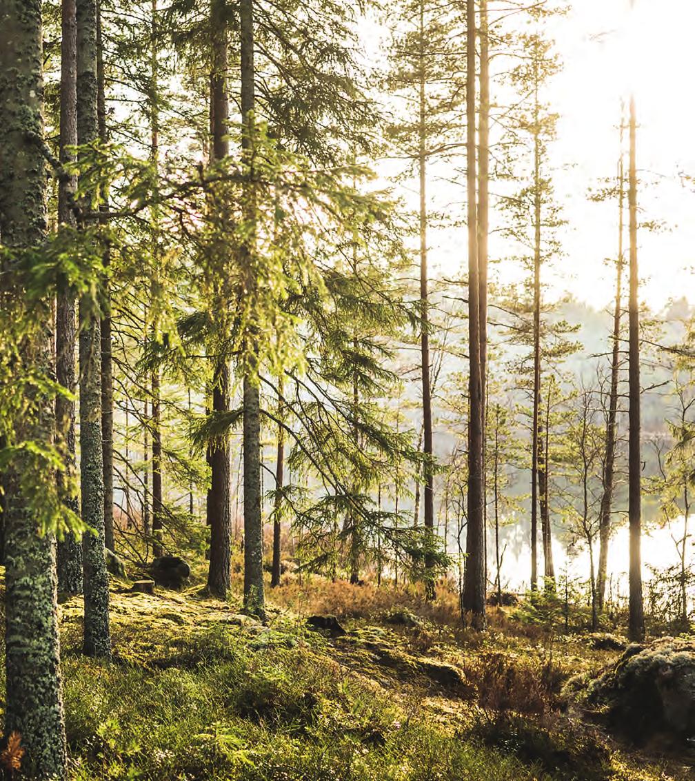 Läheisillä voi olla vielä vaikeampaa.