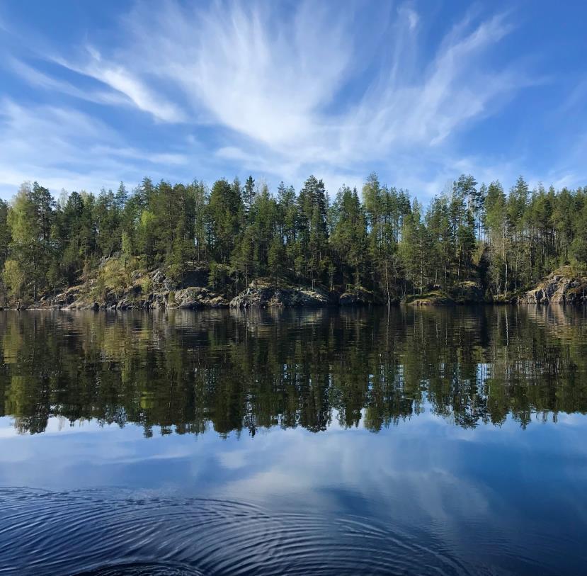 Kuinka mökkikuvaus koettiin?