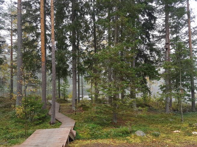 Katja Pasanen Molemmilla ryhmillä merkittävimpiä arvoja elämässä tutkimuksen tulosten mukaan ovat pehmeät arvot,